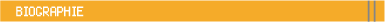 WebDesigner Freelance Juvenel Design page accueil :