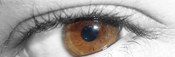 WebDesigner Freelance Juvenel Design image visuel