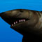 Requin