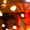 Lumiere de Noël